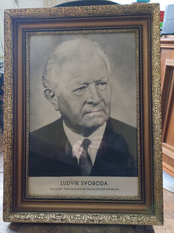 Obraz Ludvik Svoboda