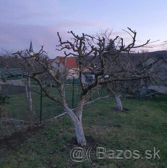 Orezavanie stromov a jarna udrzba zahrad