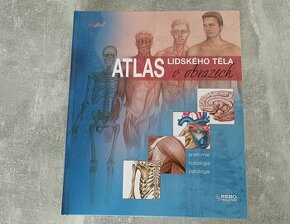 Atlas lidského těla v obrazech