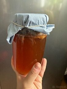 Kombucha