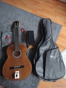 Gitara 100