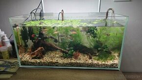 Akvarium 54l s technikou a osadenstvom