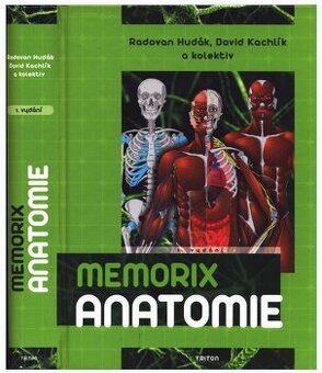 Memorix anatomie