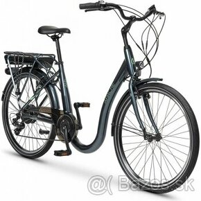 Ebike