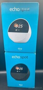 ✅echo spot