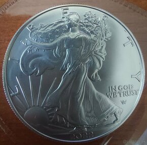 Strieborná minca American Silver Eagle 1 oz (2022) - 1