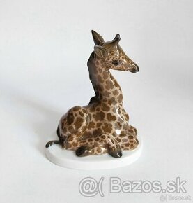 Starožitná porcelánová figurka žirafy - ROSENTHAL - 1