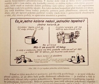 Starožitná Zlatá kniha pro praktickou hospodyňku, rok 1928