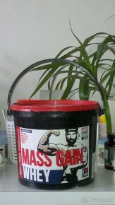 4xGain: MASS WHEY GAIN 3 kg,TRUE GAIN 2,5 kg,MALTODEX 2,5 kg