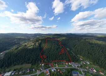 Korňa – 20.800 m2 LES s prístupom z obce - Na predaj