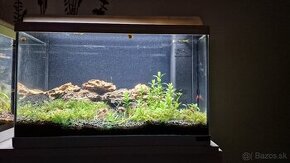 Akvarium Aquatlantis