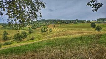 ROZĽAHLÝ REKREAĆNÝ POZEMOK, DETVIANSKA HUTA - BRATKOVICA