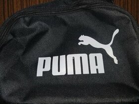 Ľadvinka Puma