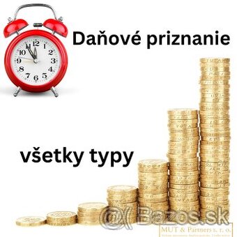 Vypracovanie daňového priznania - všetky typy