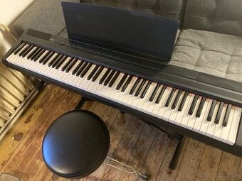 Yamaha P 105