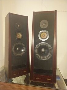 Grundig fine Arts  two