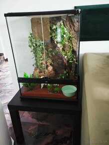 Terarium, super stav - 1