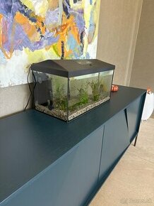 Predam 4 tyzdnove akvarium