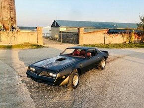 Pontiac Firebird Trans Am 1979, V8 400cui