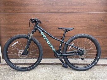 Specialized rockhopper