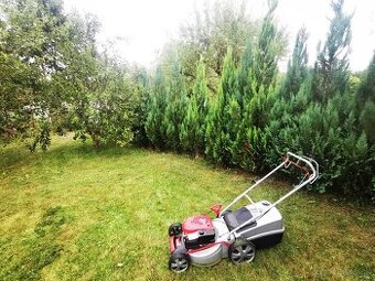 Luxusná záhrada v Meste s Chatkou  na rovine. - 1