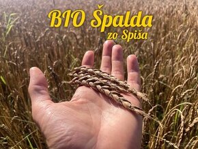 BIO obilie a múka zo Spiša - Potravinová kvalita