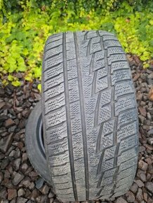 225/45R17 zimné