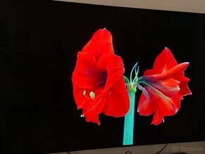 LG OLED 65´ - OLED65BX3LB