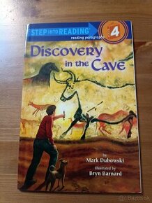 Discovery in the cave