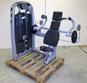 Technogym triceps