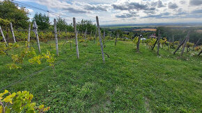 Pozemok o výmere 1333 m2 v Leviciach - Dolné Staré Levice