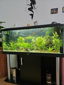 Diversa Comfort akváriový set 300 l čierny LED

