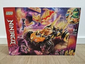 LEGO Ninjago 71769 Cole's Dragon Cruiser