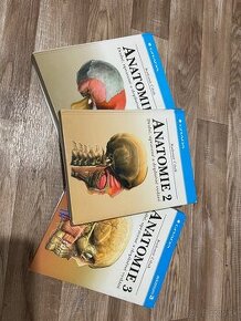 Anatómia Čihák, anatómie 1,2,3