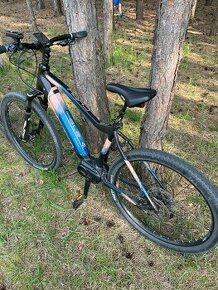 Damsky elektrobicykel CTM Ruby pro L