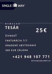 TESÁR / Nemecko / 25€/h. / NÁSTUP: 2.9.2024 /