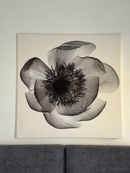 Obraz IKEA 90x90 cm