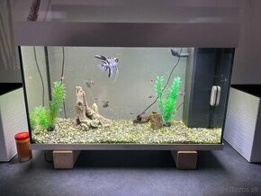 Akvarium 120L juwel