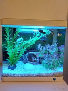 Predám Akvarium Animals 21L..