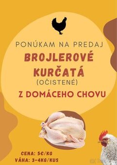 Očistené brojlerové kurčatá