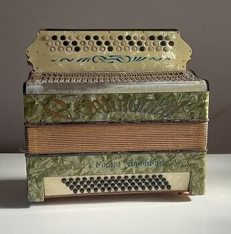 Akordeon harmonika - 1