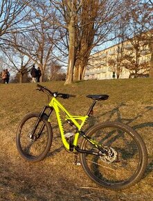 Specialized Camber Evo 29