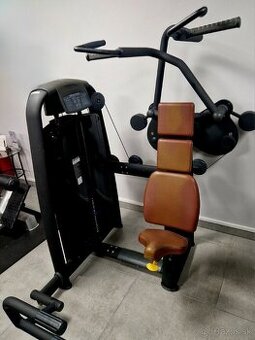 Technogym vertical traction