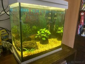 Predam 30L akvarium