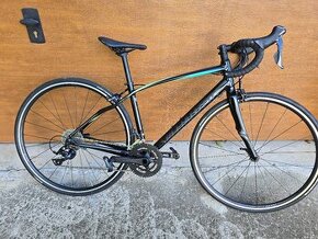 Ženský specialized 51cm