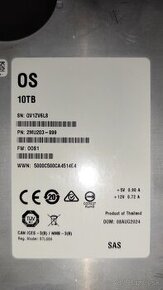 SAS disk 10 TB