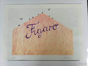 Figaro — Michal Tornyai (Cierne diery) - 1