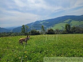 Väčší rekreačný pozemok s nádhernými výhľadmi nad obcou Zu - 1