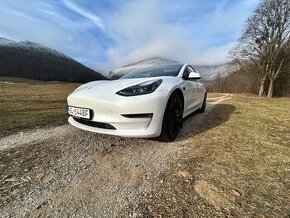 Tesla model 3 performance 2021