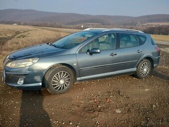 Peugeot 407sw